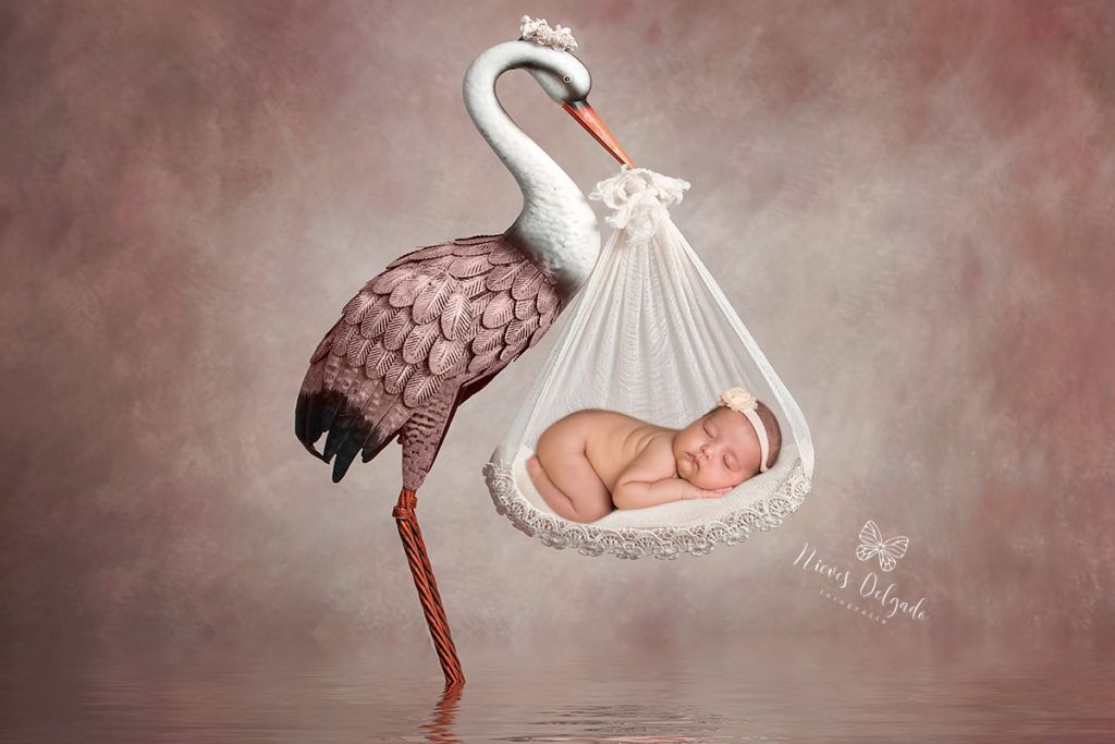 cigüeña con bebé en sesión happy baby
